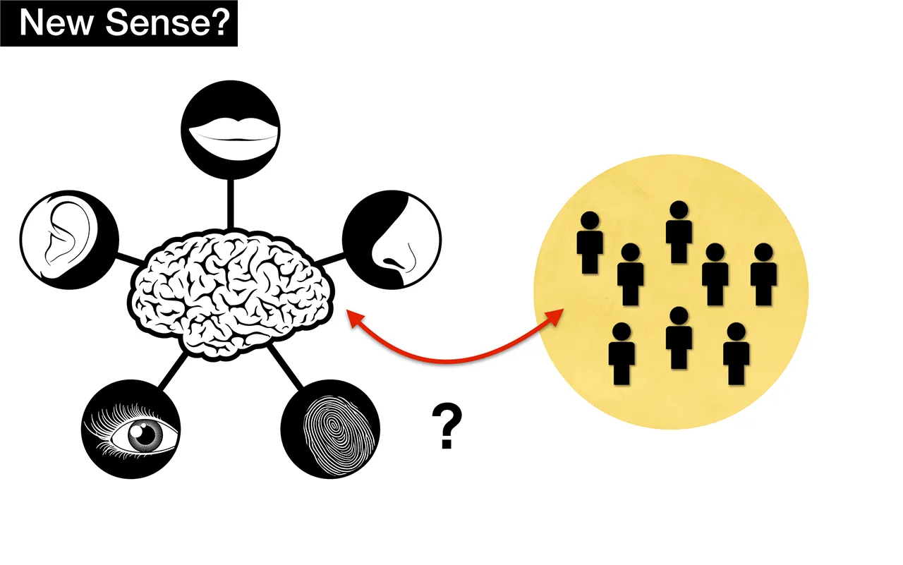 New Sense for Social Computing